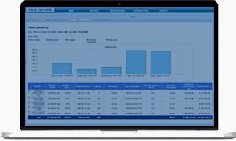 Fleet Summary Report